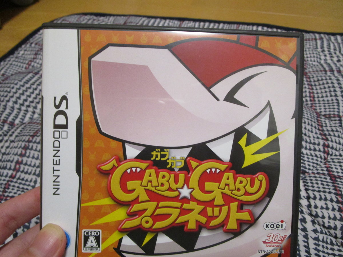 私のゲーム遍歴 その9 ある意味反抗期 DSとWiiとPSP(TF)編3 - ゲーム紹介文+α置き場