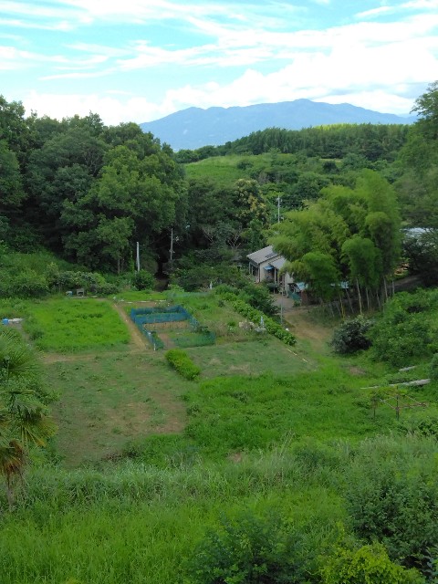f:id:komakokun:20250710225420j:image