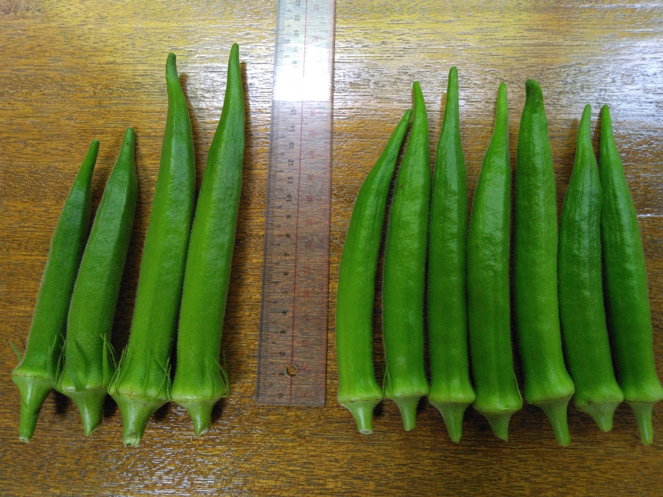 f:id:komakokun:20260815221536j:image f:id:komakokun:20260815221536j:image