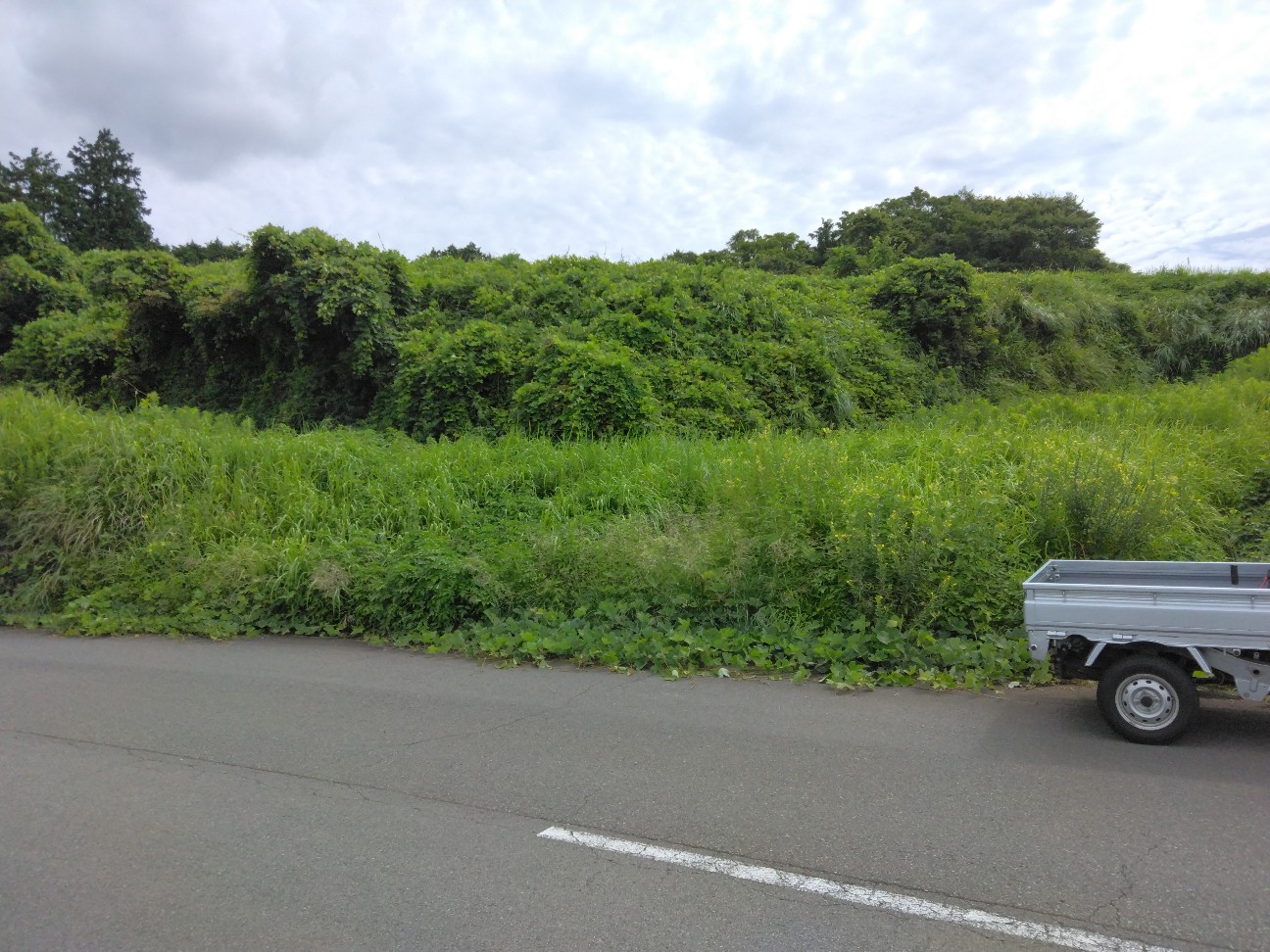 f:id:komakokun:20260817220122j:image f:id:komakokun:20260817220122j:image
