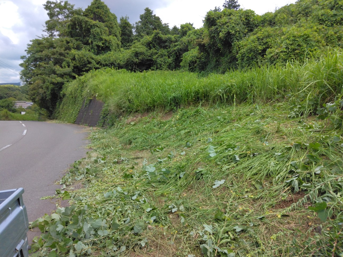f:id:komakokun:20260817223605j:image f:id:komakokun:20260817223605j:image