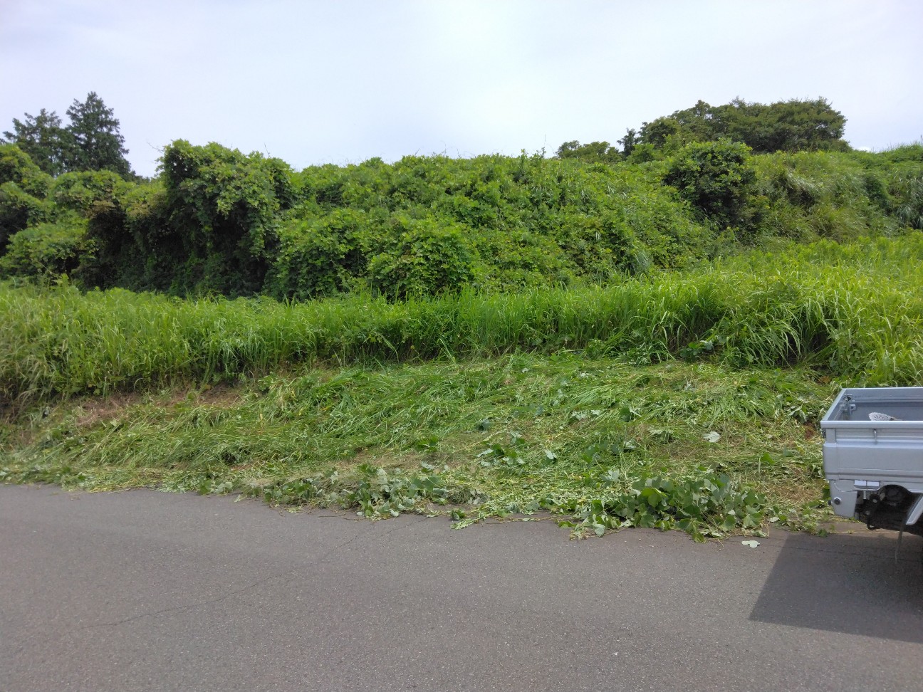 f:id:komakokun:20260817223954j:image f:id:komakokun:20260817223954j:image