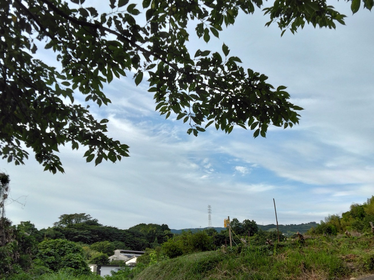 f:id:komakokun:20260818231421j:image f:id:komakokun:20260818231421j:image