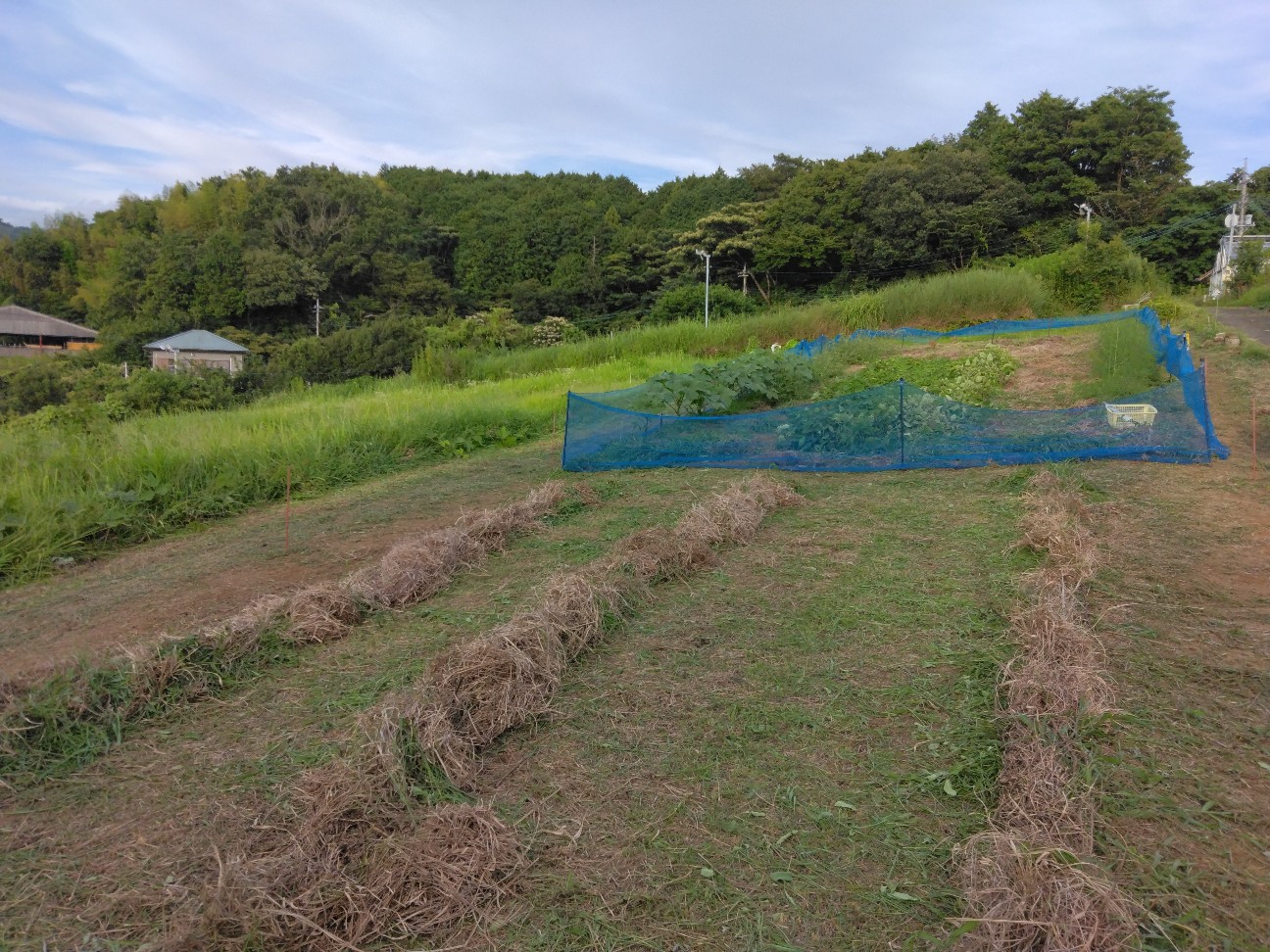 f:id:komakokun:20260818231644j:image f:id:komakokun:20260818231644j:image
