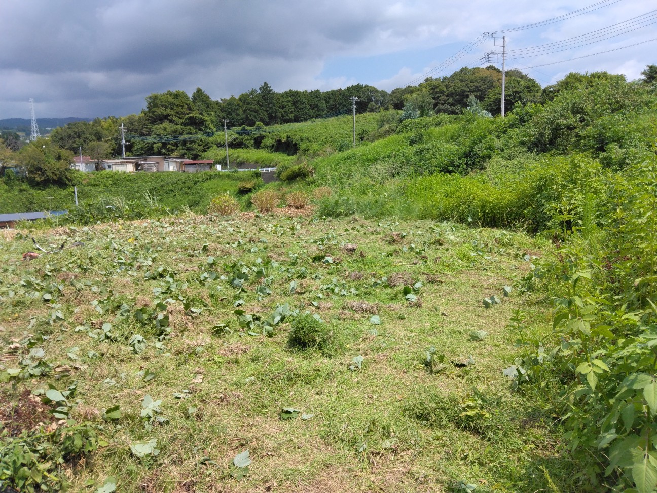 f:id:komakokun:20260819224507j:image f:id:komakokun:20260819224507j:image
