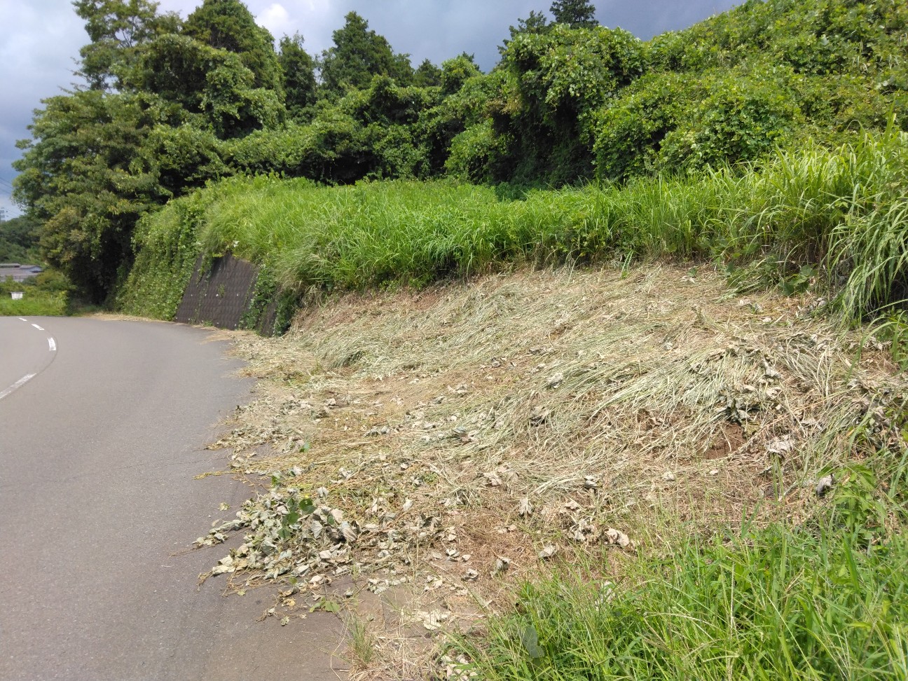 f:id:komakokun:20260819225152j:image f:id:komakokun:20260819225152j:image