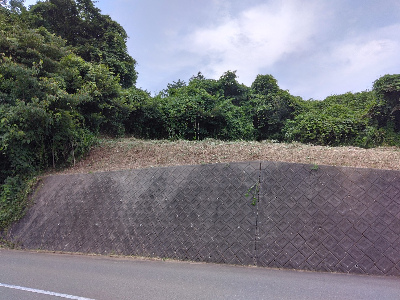 f:id:komakokun:20260820225433j:image f:id:komakokun:20260820225433j:image