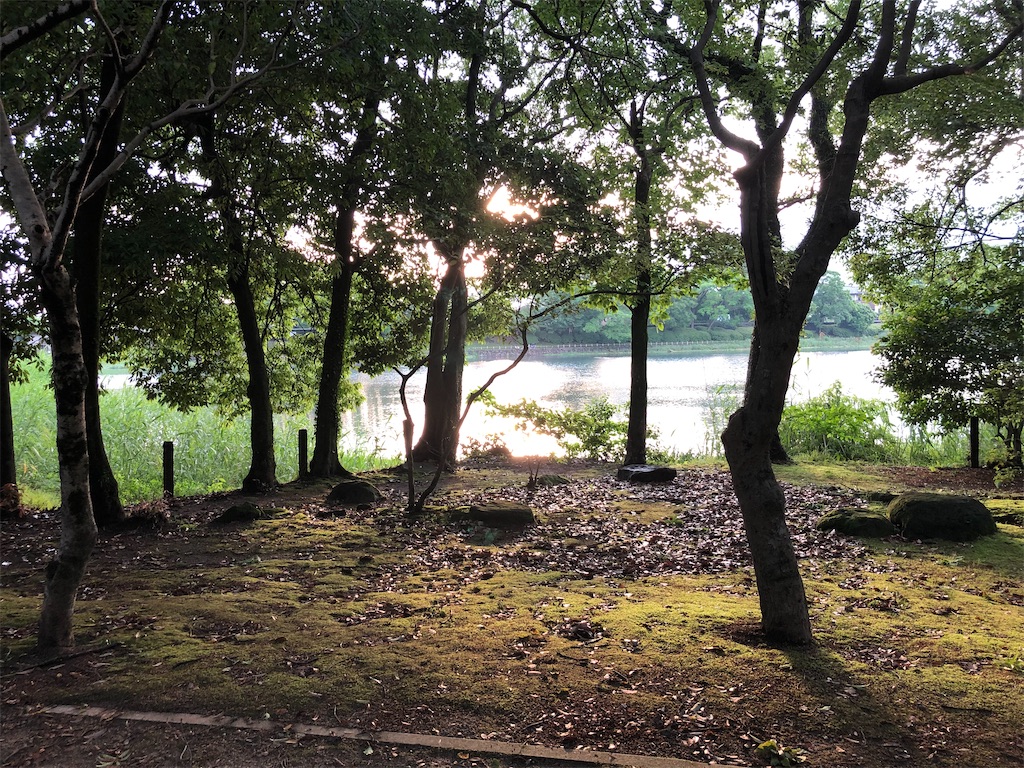 f:id:komakoma41:20210521182116j:image