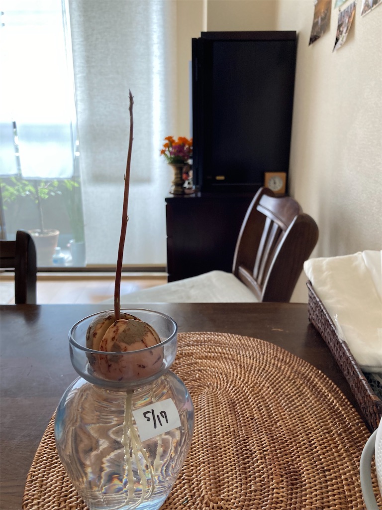 f:id:komakomana:20210729164117j:image f:id:komakomana:20210729164117j:image
