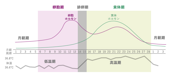 生理前の眠気 だるさ それはしたたかな女の習性だった 睡眠 Com