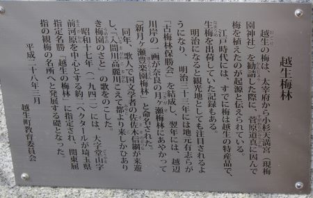 IMG_4180b.jpg