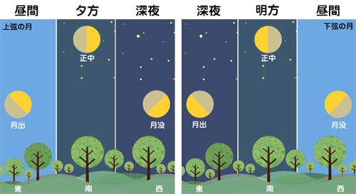 Amazon.co.jp: 下弦の月 ~ラスト・クォーター [DVD] : 栗山千明