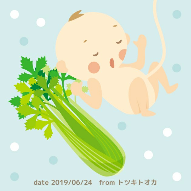 f:id:komame_olive:20190624162446j:image f:id:komame_olive:20190624162446j:image