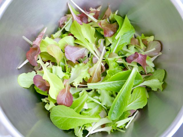 ベランダ菜園日記 23 防虫ネット一長一短 困りもん暮らしメモ ベランダ菜園日記 23 防虫ネット一長一短 困りもん暮らしメモ