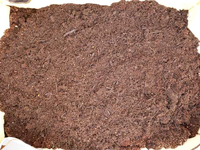 天日干し中の使用済みの培養土（可燃ゴミ処分可能なタイプのもの）