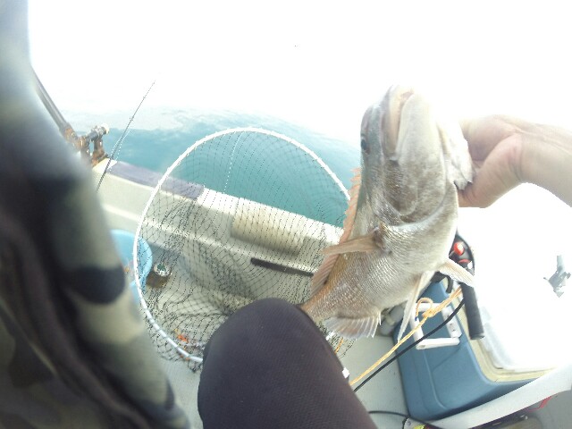 f:id:komaru694:20160802095517j:image f:id:komaru694:20160802095517j:image