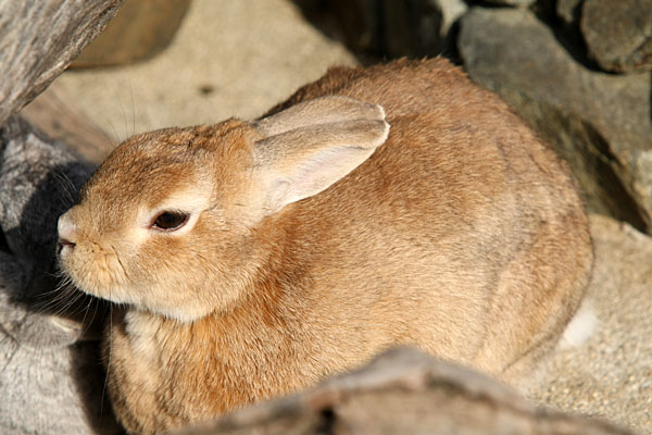 f:id:komaruchan:20120321153356j:image