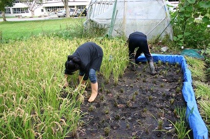 f:id:komasato:20121004092854j:image