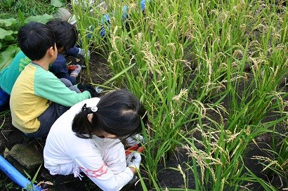 f:id:komasato:20121004093132j:image
