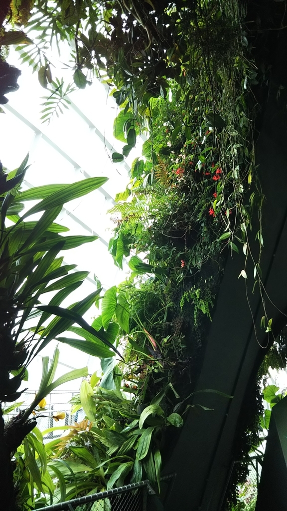 f:id:komatabi:20180903201700j:plain