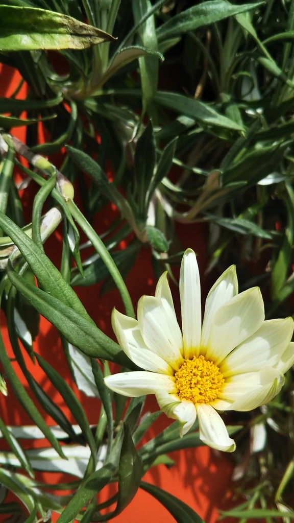 f:id:komatabi:20180903201836j:plain