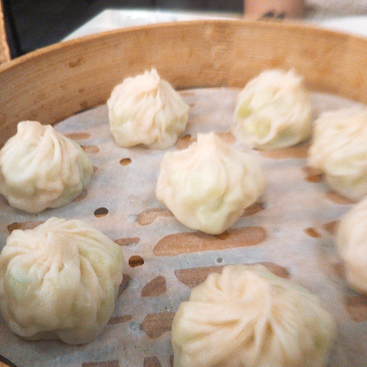 f:id:komatabi:20190528193610j:plain