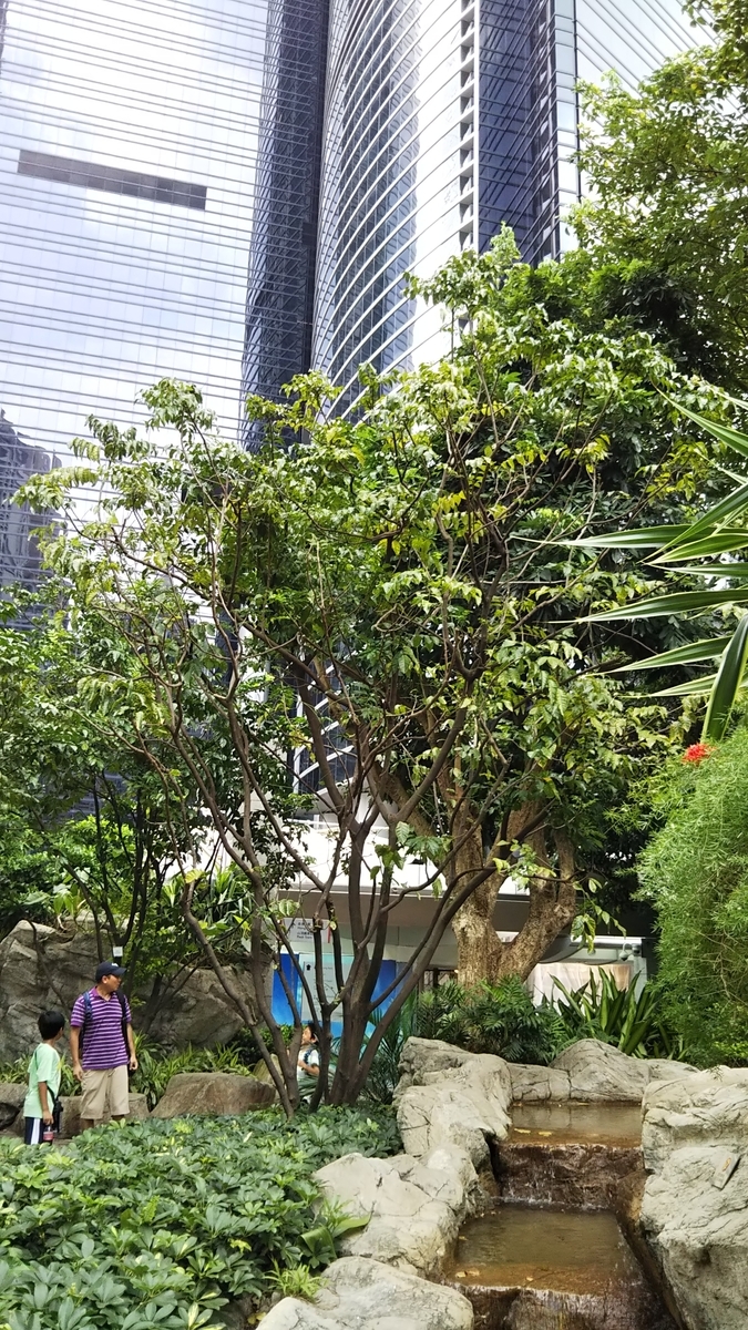 f:id:komatabi:20190721161327j:plain