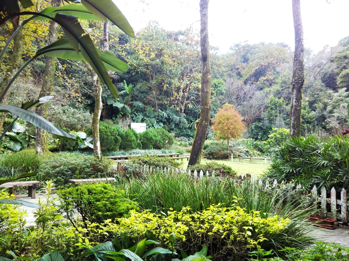 f:id:komatabi:20200114184419j:plain