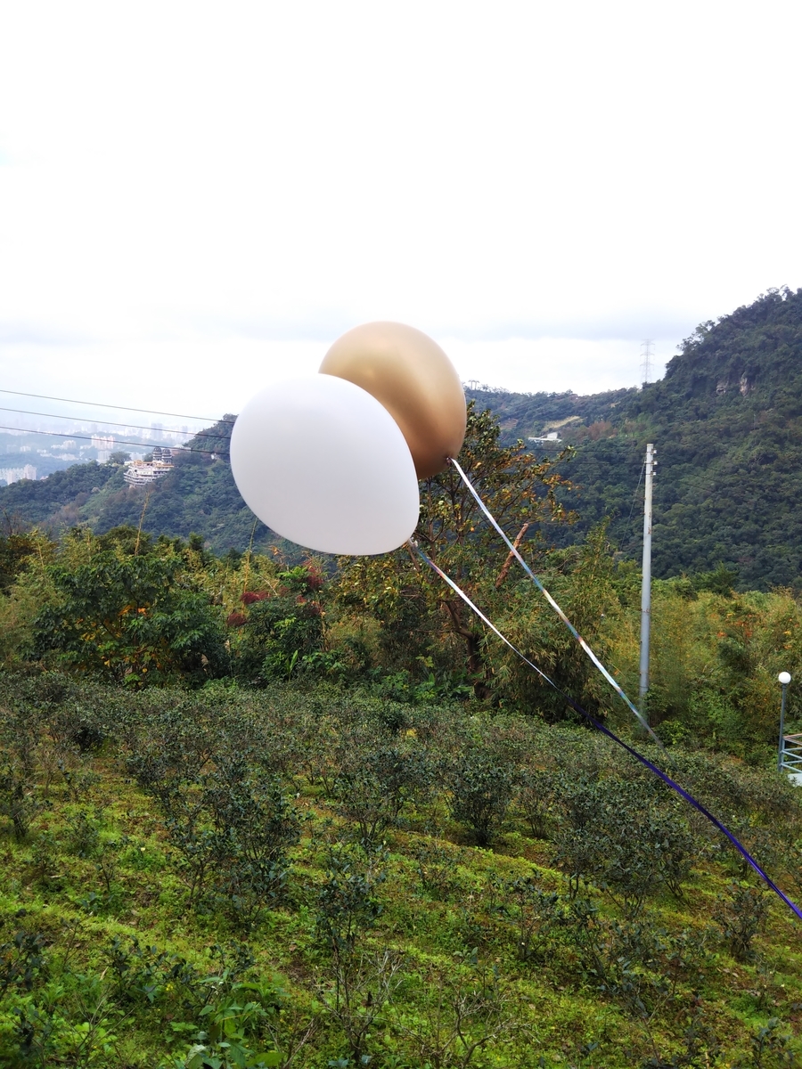 f:id:komatabi:20200114184728j:plain