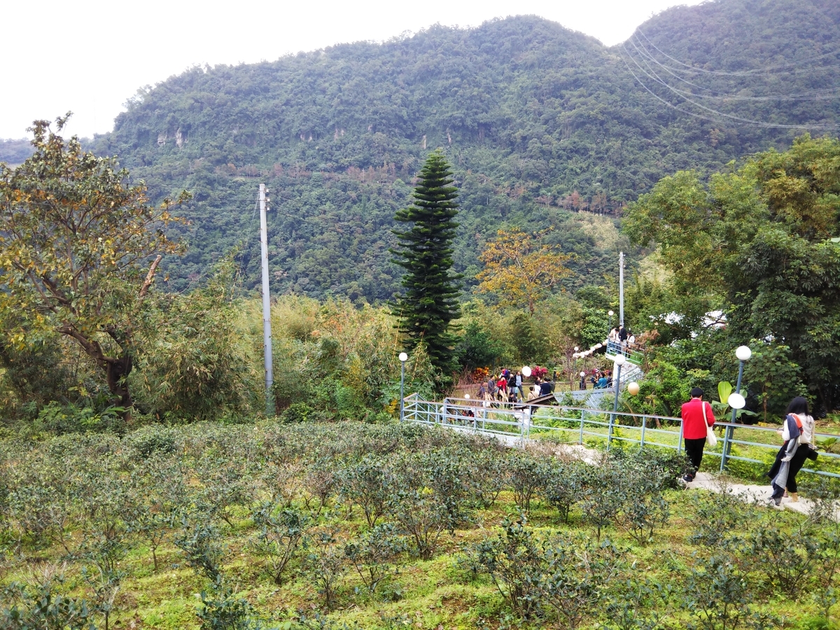 f:id:komatabi:20200114185208j:plain