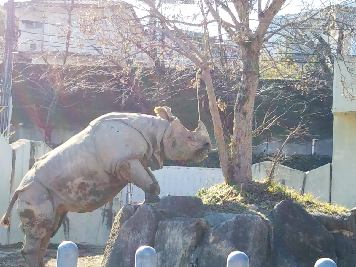 f:id:komatabi:20200117202829j:plain