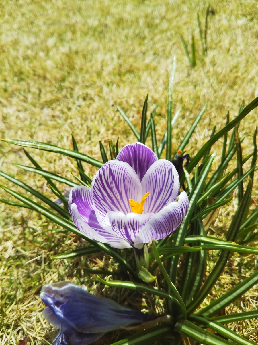 f:id:komatabi:20200711115617j:plain f:id:komatabi:20200711115617j:plain