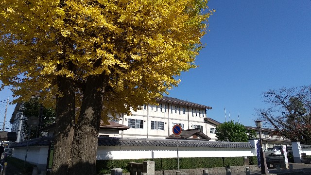 f:id:komatabi:20201116183527j:image