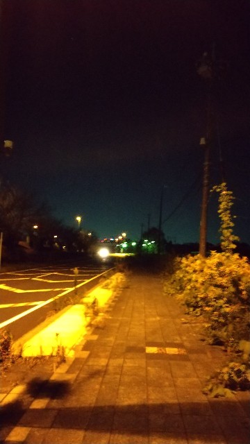 f:id:komatabi:20201208185900j:image