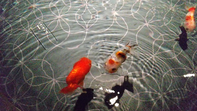 f:id:komatabi:20210330233314j:image