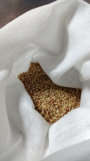 f:id:komatabi:20210823184222j:image f:id:komatabi:20210823184222j:image