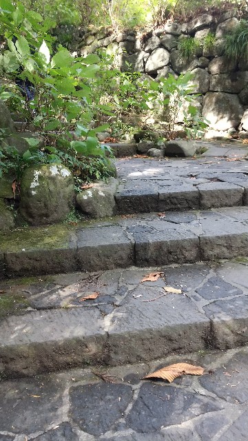 f:id:komatabi:20211105184001j:image
