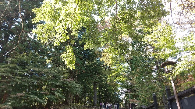 f:id:komatabi:20211105184024j:image