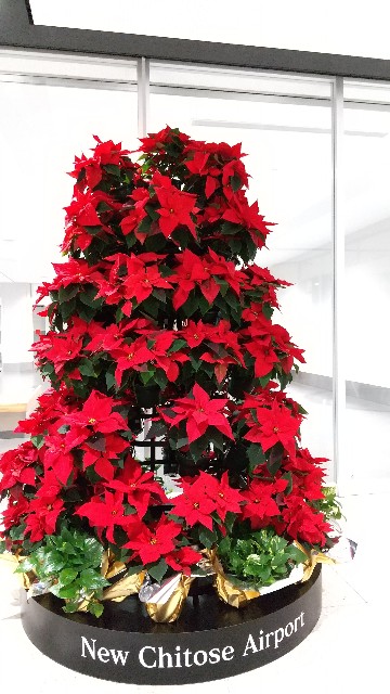 f:id:komatabi:20211222122231j:image