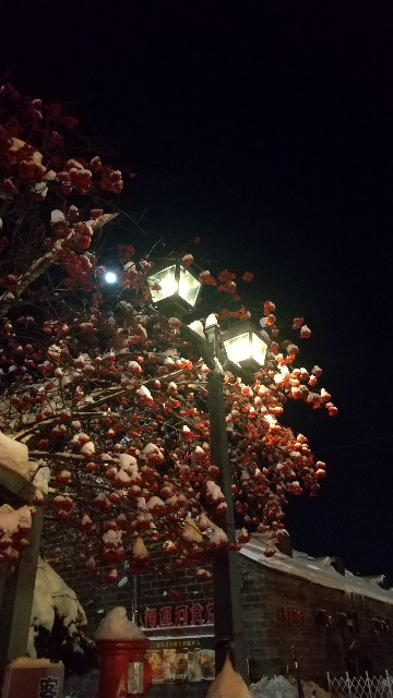 f:id:komatabi:20220120185111j:image f:id:komatabi:20220120185111j:image