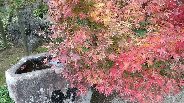 f:id:komatabi:20221209211143j:image f:id:komatabi:20221209211143j:image