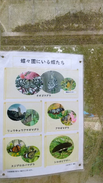 f:id:komatabi:20230118192256j:image f:id:komatabi:20230118192256j:image