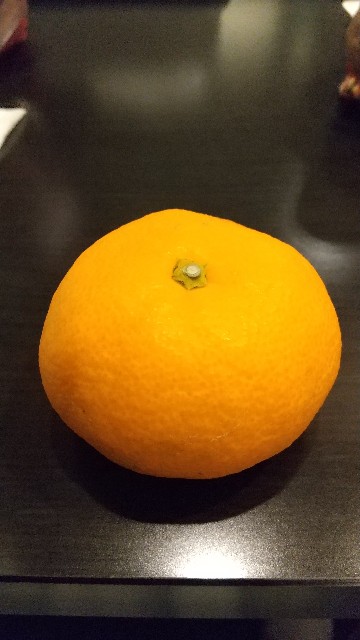f:id:komatabi:20231120195844j:image