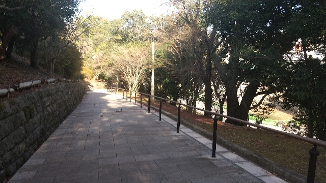 f:id:komatabi:20231123155458j:image