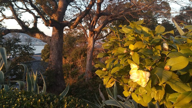 f:id:komatabi:20231123160125j:image