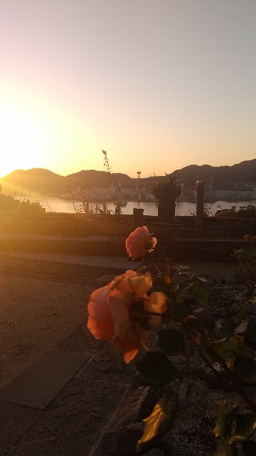 f:id:komatabi:20231123160154j:image