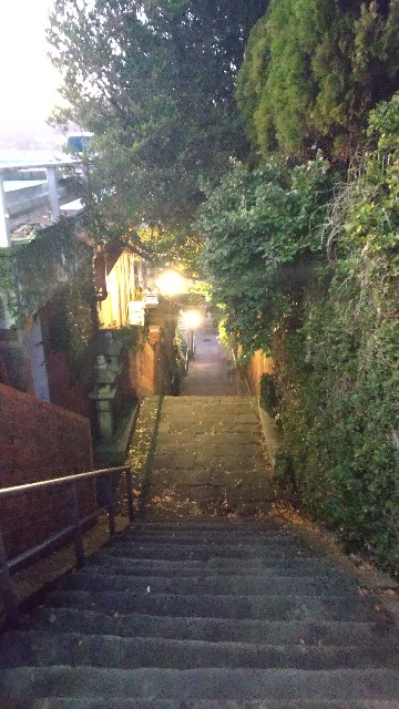 f:id:komatabi:20231123160829j:image