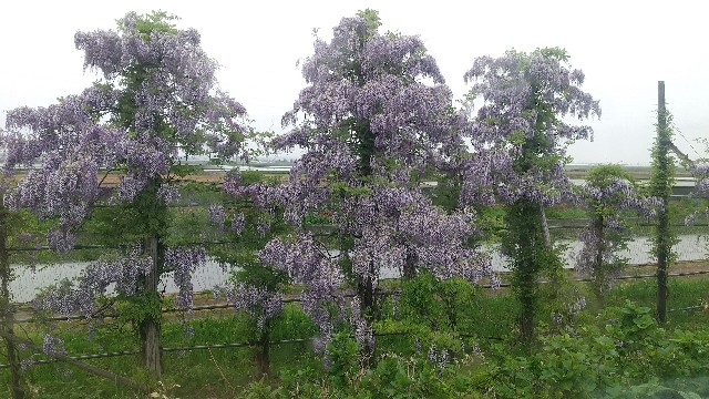 f:id:komatabi:20240117003214j:image