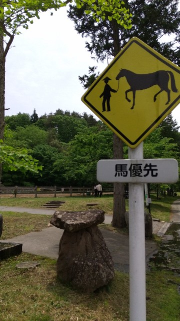 f:id:komatabi:20240118213904j:image f:id:komatabi:20240118213904j:image