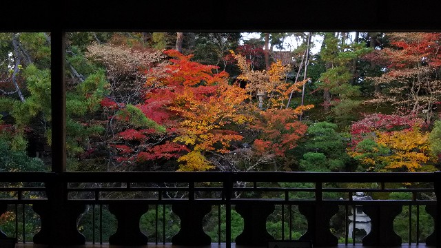 f:id:komatabi:20240216213147j:image f:id:komatabi:20240216213147j:image